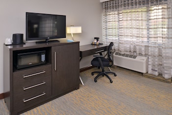 Standard Room, 1 Double Bed, Accessible, Refrigerator & Microwave