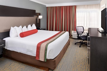 Standard Room, 1 King Bed, Non Smoking, Refrigerator & Microwave (Shower Only;Larger Room)