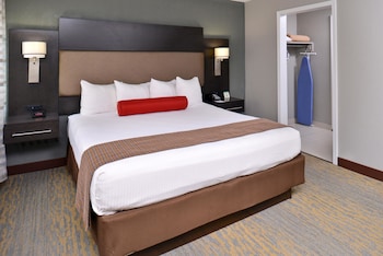 Standard Room, 1 Double Bed, Accessible, Refrigerator & Microwave