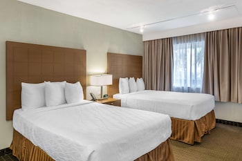 Standard Room, 2 Double Beds, Non Smoking, Refrigerator & Microwave