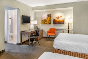 Standard Room, 2 Double Beds, Non Smoking, Refrigerator & Microwave