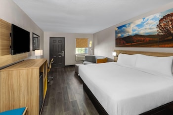 Room, 1 King Bed, Non Smoking