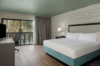Room, 1 King Bed, Balcony, Courtyard View