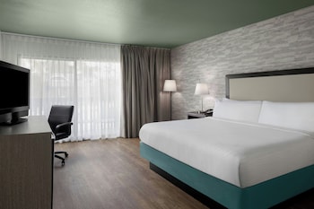 Room, 1 King Bed, Pool View