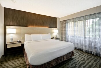 Suite, 1 King Bed with Sofa bed, Microwave
