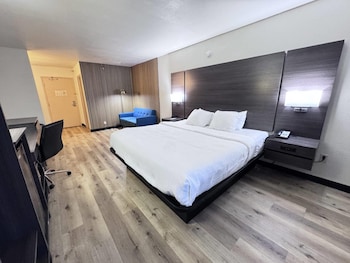 King Bed, Suite, 1- Sofa