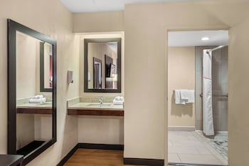 Deluxe Room, 1 King Bed (Roll-In Shower, Smoke Free)