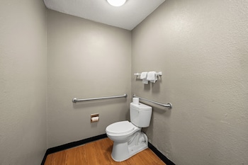 Deluxe Room, 1 King Bed, Accessible, Non Smoking