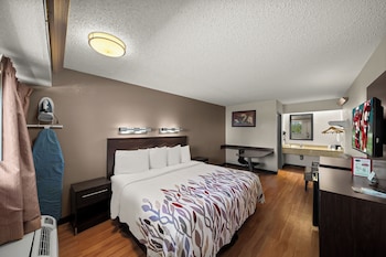 Superior Room, 1 King Bed, Smoking