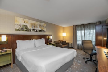 Room, 1 King Bed with Sofa bed, Non Smoking