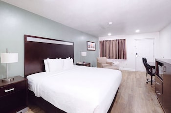 Room, 1 King Bed, Non Smoking