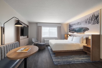 Room, 1 King Bed