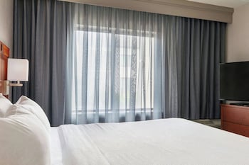 Room, 1 King Bed with Sofa bed