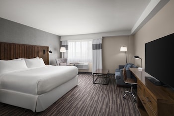 Standard Room, 1 King Bed, Non Smoking, Jetted Tub (Shower Only;Pet Friendly)