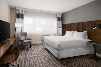 Standard Room, 1 King Bed, Non Smoking (Shower Only)