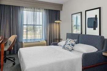 Studio, 1 King Bed with Sofa bed