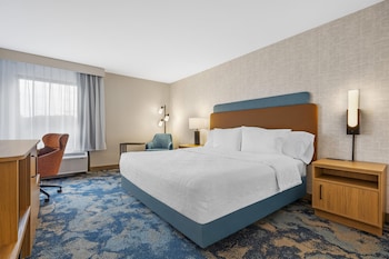 Room, 1 King Bed, Accessible (Mobility and Hearing)