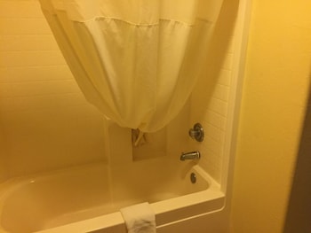 Room, 1 King Bed, Refrigerator