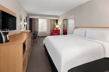 Room, 1 King Bed, Roll-in Shower, Non Smoking (Communications)