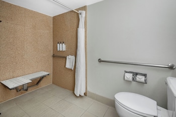 Suite, 1 Bedroom, Hearing Accessible (Roll-in Shower)