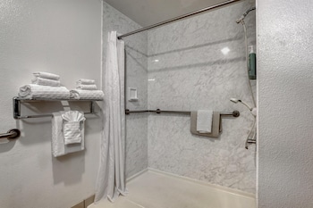 Standard Room, 1 Queen Bed, Accessible, Non Smoking (Walk-in Shower)