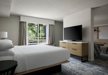 Studio Suite, 1 King Bed with Sofa bed