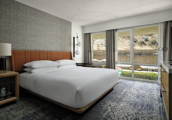 Room, 1 King Bed