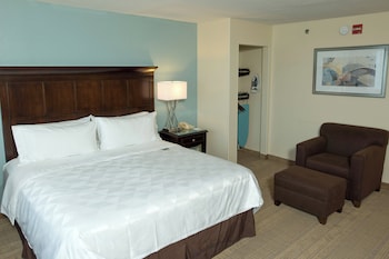 Standard Room, 1 King Bed with Sofa bed