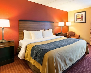 Standard Room, 1 King Bed, Non Smoking