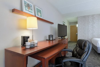 Room, 1 King Bed