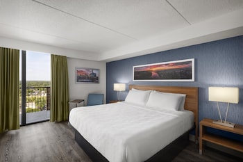 Suite, 1 King Bed, Non Smoking, Jetted Tub (Living Room;with Sofabed)