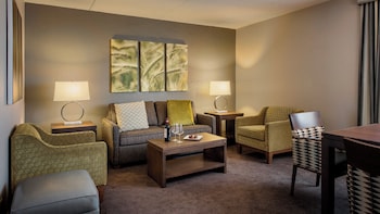 Suite, 1 Bedroom, City View (1 King Bed, Living/Dining Area)