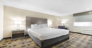 Standard Room, 1 King Bed, Non Smoking, Refrigerator & Microwave