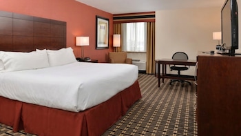 Suite, 1 King Bed, Roll-in Shower (Communications)