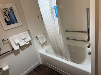 1 King Bed Room, Accessible, Bathtub