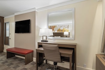 Standard Room, 1 King Bed (Hideaway)