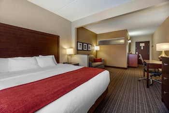 Suite, 1 King Bed with Sofa bed, Non Smoking (Rain shower)