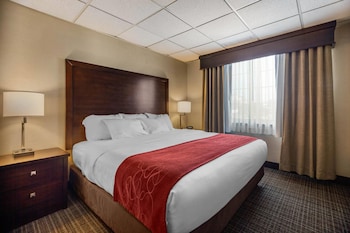 Deluxe Suite, 1 Bedroom, Non Smoking (Living Room, 1 King Bed, Rain Shower)