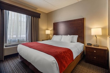 Suite, 1 King Bed with Sofa bed, Non Smoking (Rain shower)