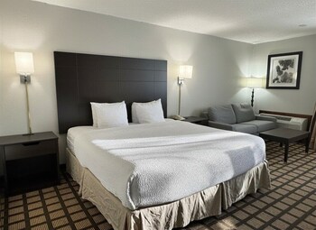 Room, 1 King Bed, Non Smoking