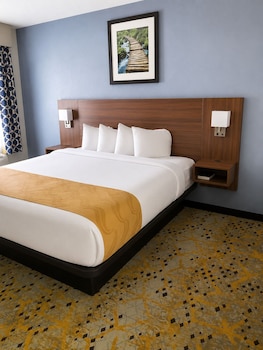 Standard Double Room, 1 King Bed, Accessible, Non Smoking (Accessible)