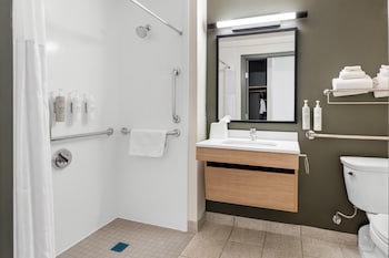 Room, 1 King Bed (Mobility & Hearing, Roll-in Shower)