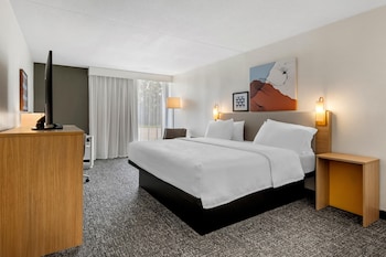 Room, 1 King Bed