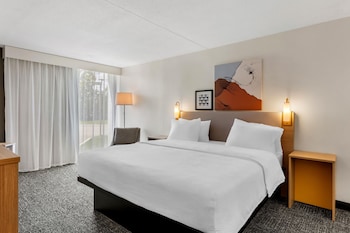 Room, 1 King Bed