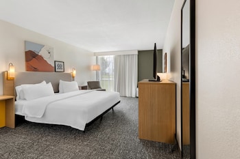 Room, 1 King Bed (Mobility & Hearing, Roll-in Shower)