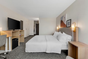 Room, 1 King Bed (Mobility & Hearing, Roll-in Shower)