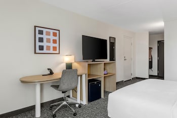 Room, 1 King Bed (Mobility & Hearing, Roll-in Shower)
