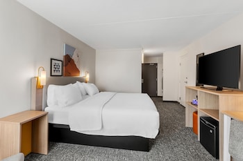 Room, 1 King Bed