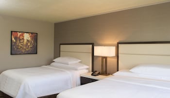 Suite, Multiple Beds, Microwave