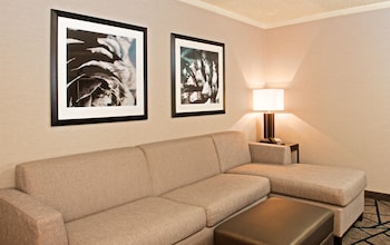 Premium Suite, 1 King Bed, Accessible, Microwave (Mobility and Hearing)